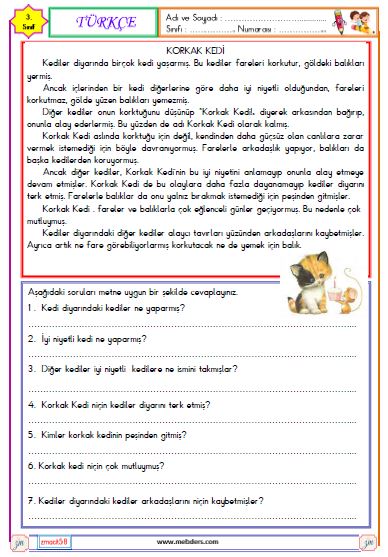 3. Sınıf Türkçe Okuma ve Anlama Etkinliği ( Korkak Kedi )